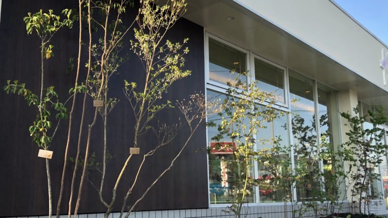 くらた歯科様　リガーデン工事（植栽）